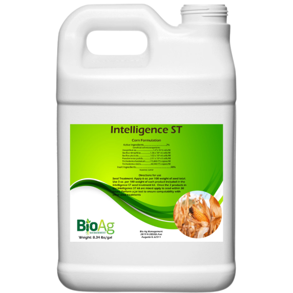 Intelligence ST